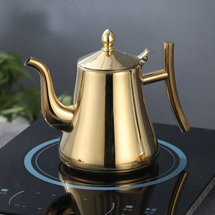 Fast Boil Induction Kettle with Built-in Filter - Stainless Steel
