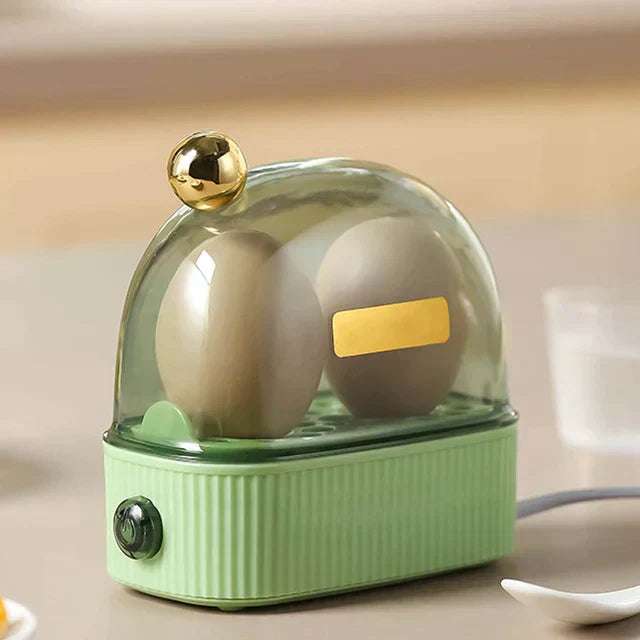 Mini Egg Boiler Cooker for 2, Auto Shut Off