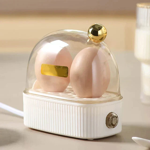 Mini Egg Boiler Cooker for 2, Auto Shut Off - Fesara