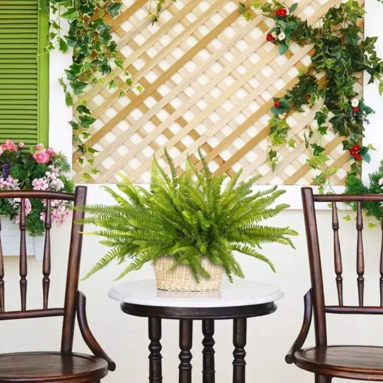 Premium Fake Boston Fern Plant - Fesara