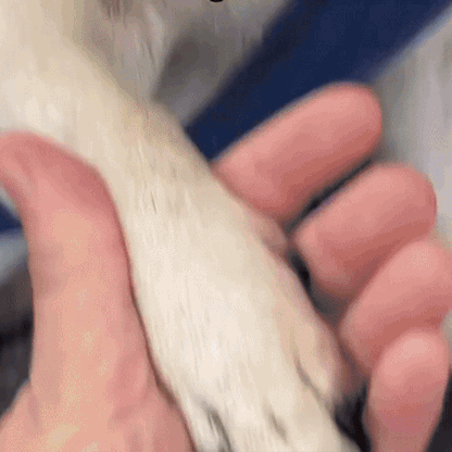 Easy Safe Nail Clipper for Home Use