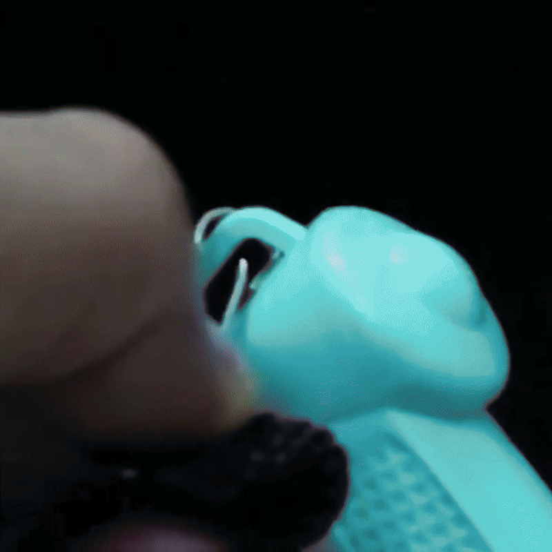 Fesara | Baby Educational Toy for Sensory Development
