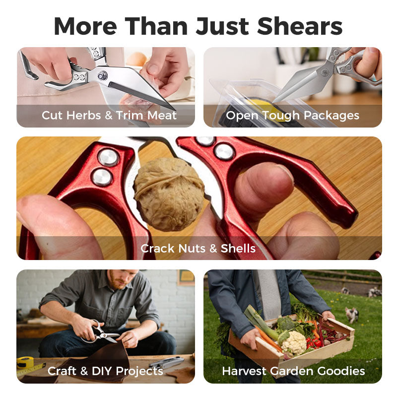 Easy Slicing Food Processor for Home Kitchen