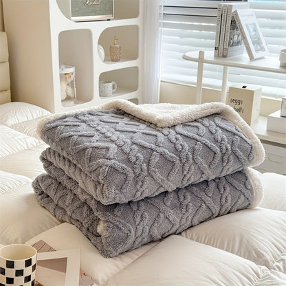 Cozy Plush Reversible Winter Blanket