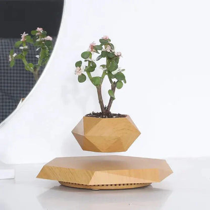 Floating Mini Bonsai Tree Planter