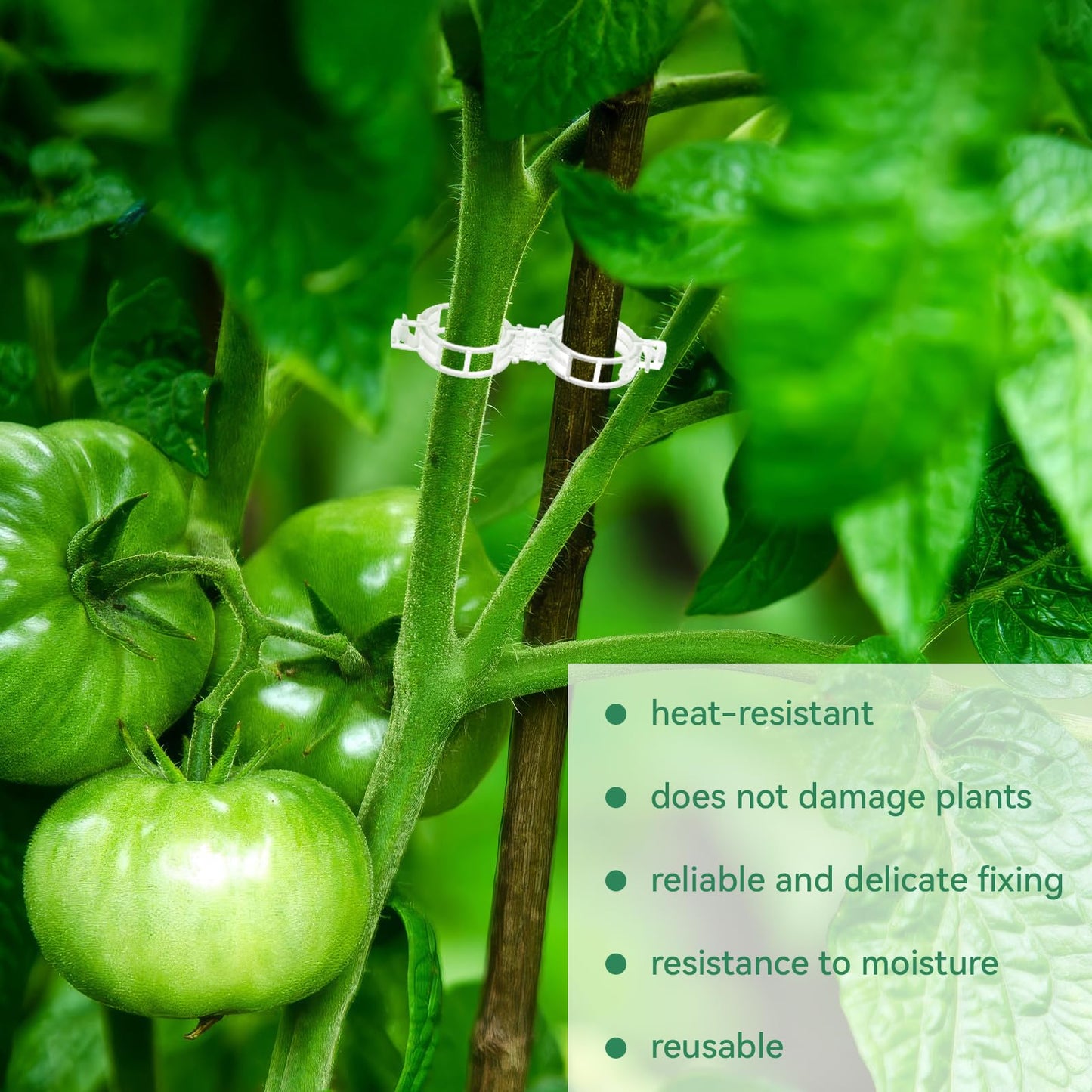 Easy Use Tomato Plant Clips