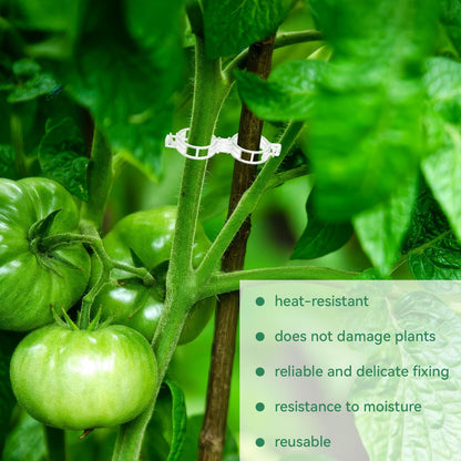 Easy Use Tomato Plant Clips