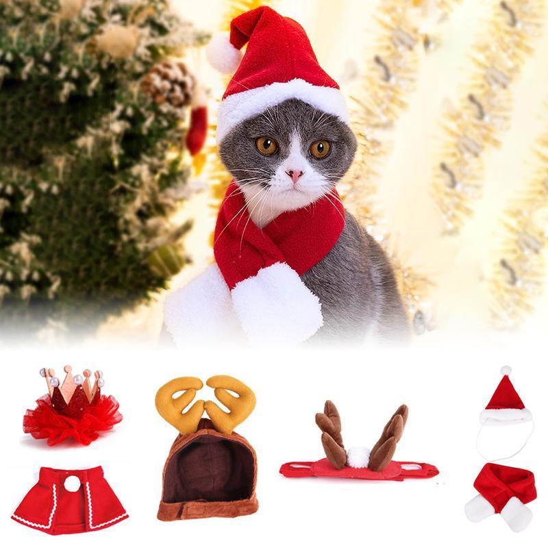 Fun Holiday Pet Costumes