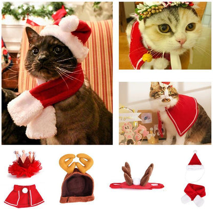 Fun Holiday Pet Costumes