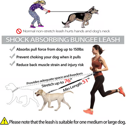 Easy Walk Dog Harness