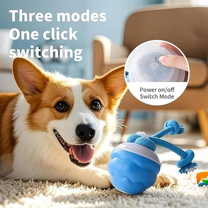Fun Pet Activity Tracker Monitor