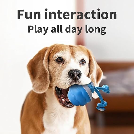Fun Pet Activity Tracker Monitor