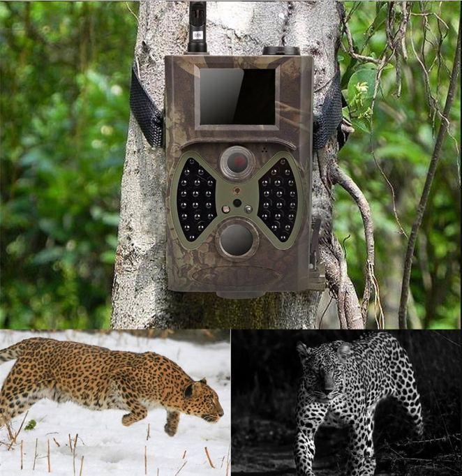 Motion Activated Night Vision Trail Camera