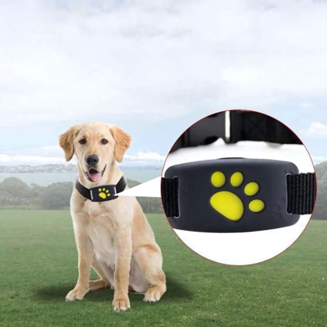 Pet GPS Tracker with Live Updates and Long Battery Life - Fesara