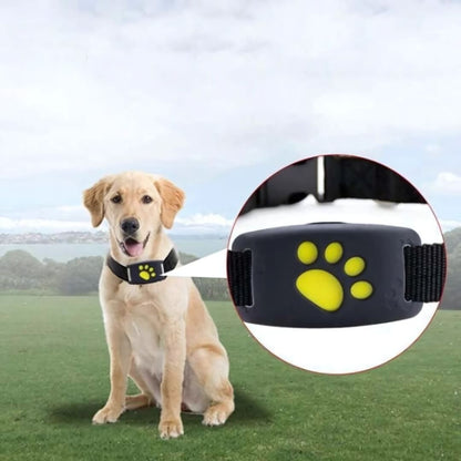 Pet GPS Tracker with Live Updates and Long Battery Life - Fesara