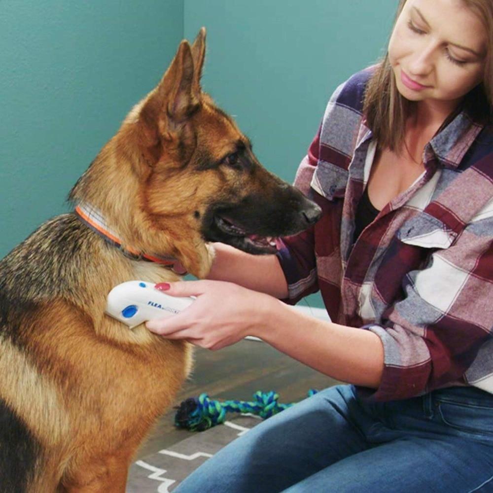 Gentle Pet Flea Removal Comb