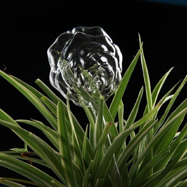 Easy Care Automatic Plant Bulb