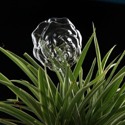 Easy Care Automatic Plant Bulb