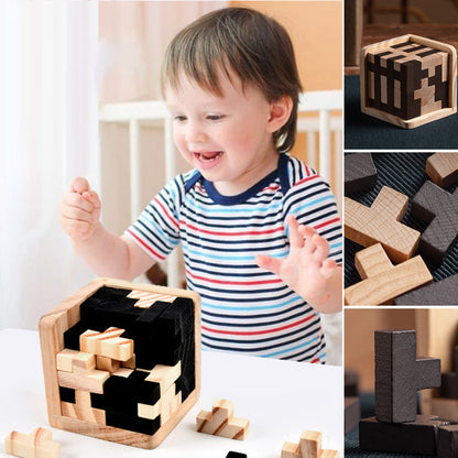 Classic Wooden Puzzle Brain Game