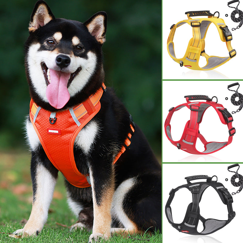 Safe Visible Pet Harness - Fesara