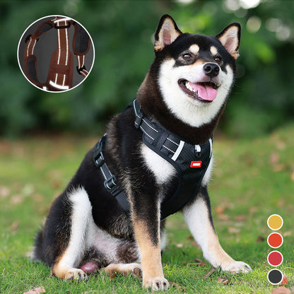 Safe Visible Pet Harness