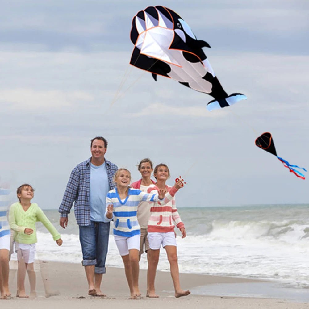 Big Beach Dolphin Kite Toy