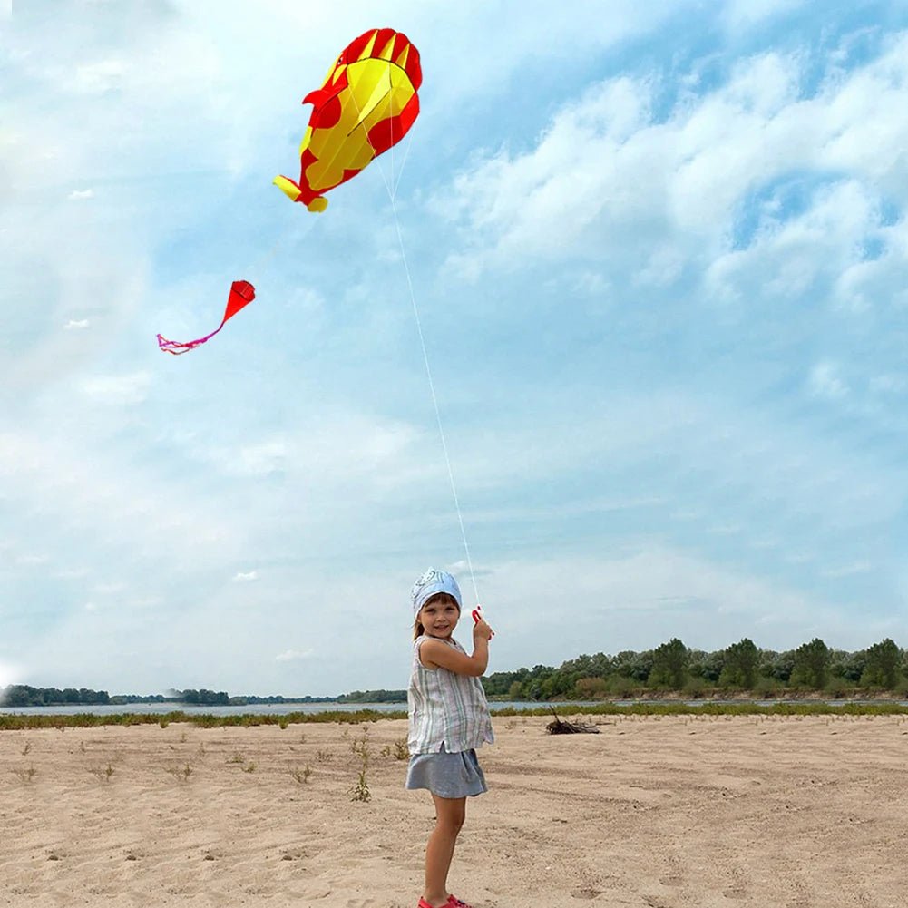 Big Beach Dolphin Kite Toy
