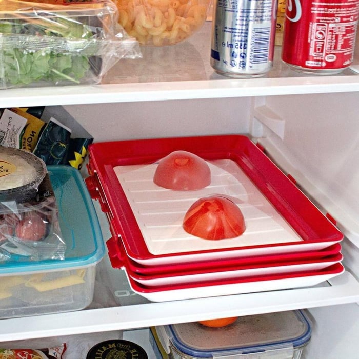 Delicious Food Serving Plate
