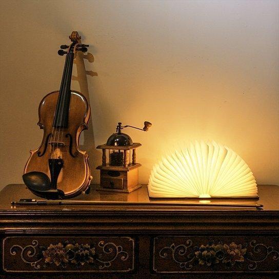 Fesara Compact Folding Book Light