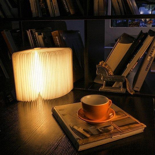 Fesara Compact Folding Book Light