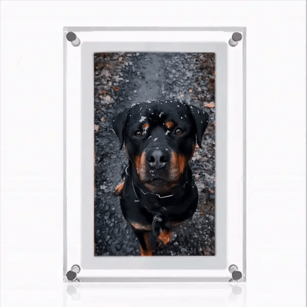 Personalized Digital Picture Frame
