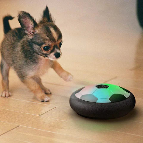 Fun Interactive Dog Play Toy