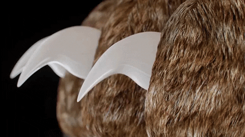 Safe Pet Nail Trimmers with Easy Sensors