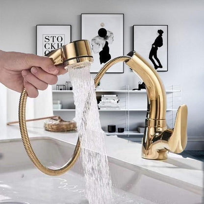 Fesara | 360 Rotation Shower Faucet