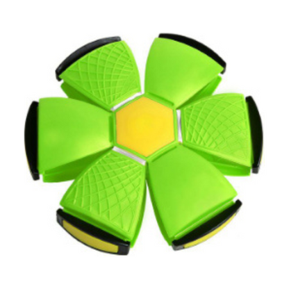 Fun Interactive Bouncing Ball Toy
