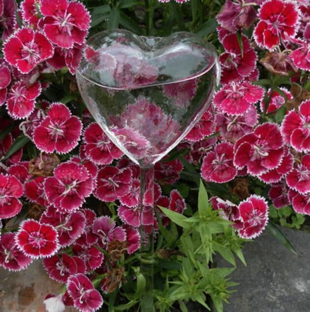 Easy Care Automatic Plant Bulb