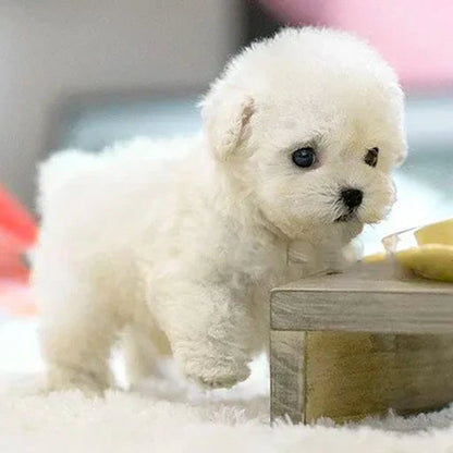 Interactive Smart Pet Dog Companion Toy