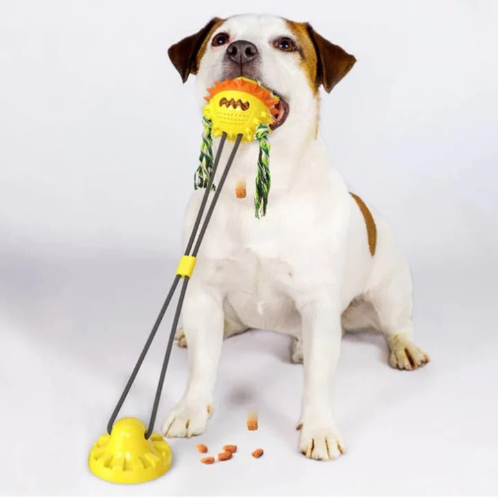 Fun Automatic Pet Play Toy