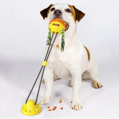 Fun Automatic Pet Play Toy