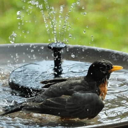 Solar Powered LED Water Fountain