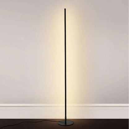 Elegant Home Light Fixture