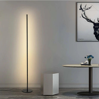 Elegant Home Light Fixture