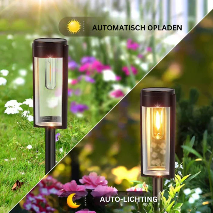 Premium Outdoor Solar Panel Garden Lights
