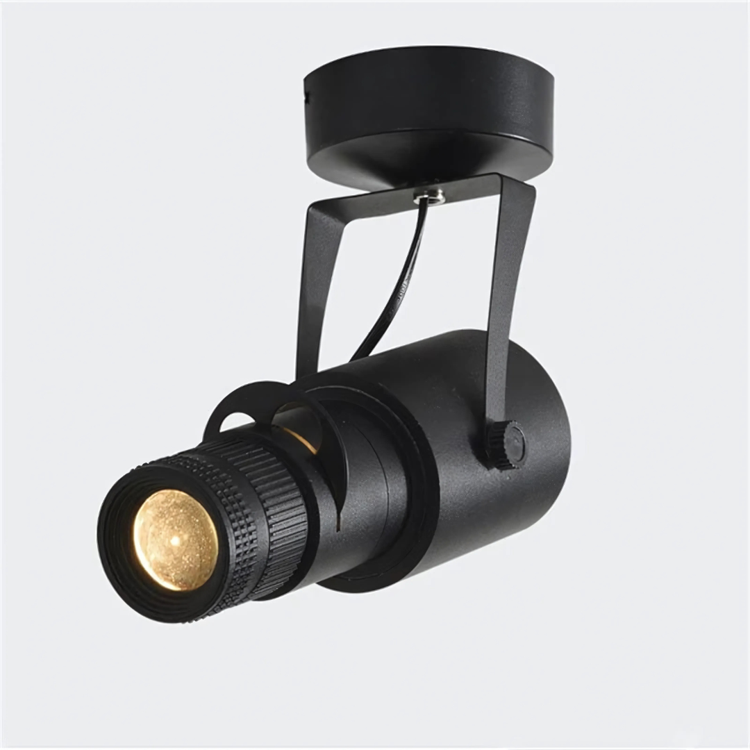 Modern LED Adjustable Ceiling Spot Light
