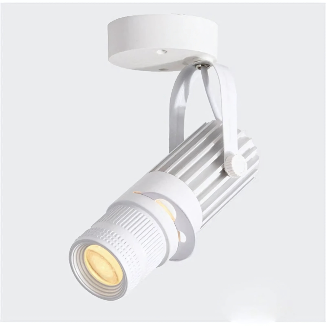 Modern LED Adjustable Ceiling Spot Light