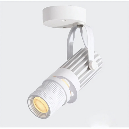 Modern LED Adjustable Ceiling Spot Light