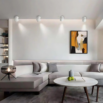 Slim LED Aluminum Ceiling Light - Fesara
