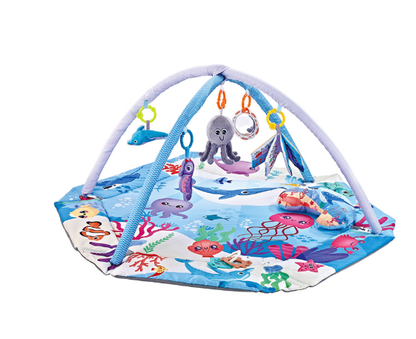 Ultimate Baby Play Gym with Attached Toys