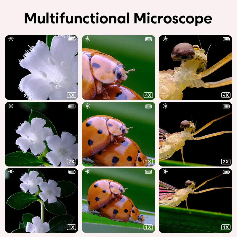 Kids Beginner Microscope Kit
