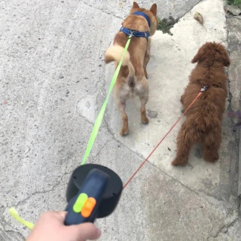 Easy Walk Double Dog Leash with LED Flashlight & Rotating Clip